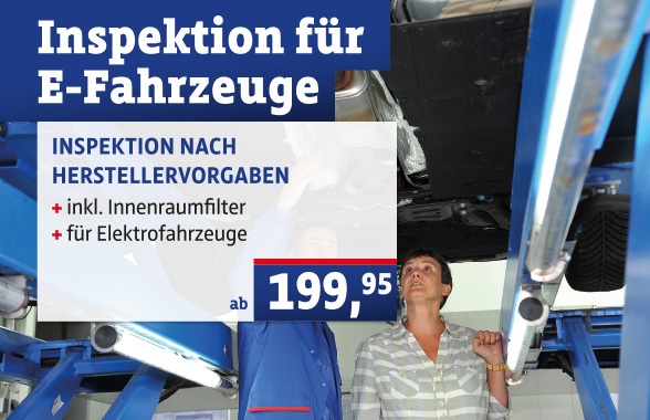 E-SERVICE Inspektion