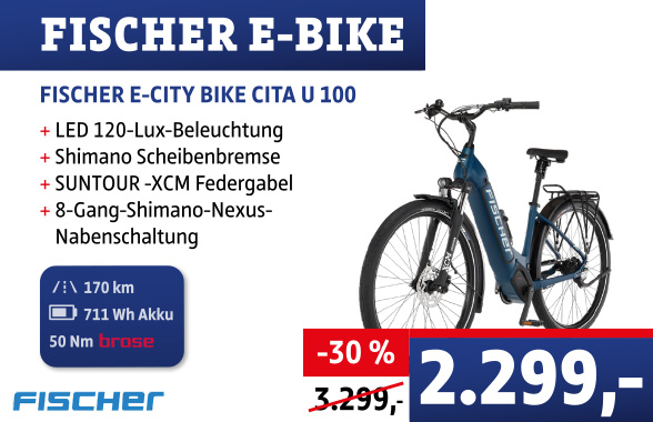 E-Bike Banner Cita U100