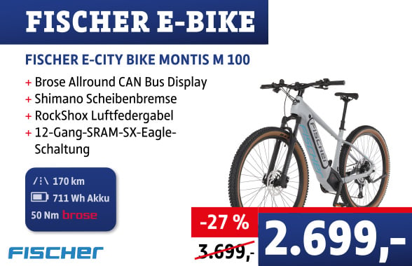 E-BIKE Banner Montis M100