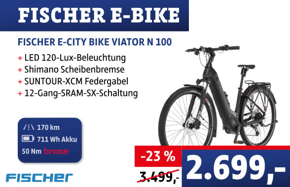 E-BIKE Banner Viator N100