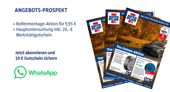 Startseite Infobox Prospekt 11.09.26
