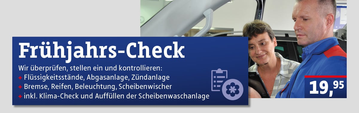 Werkstatt Standheizung